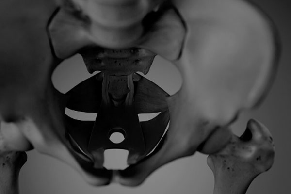 Terapia Dna Miednicy